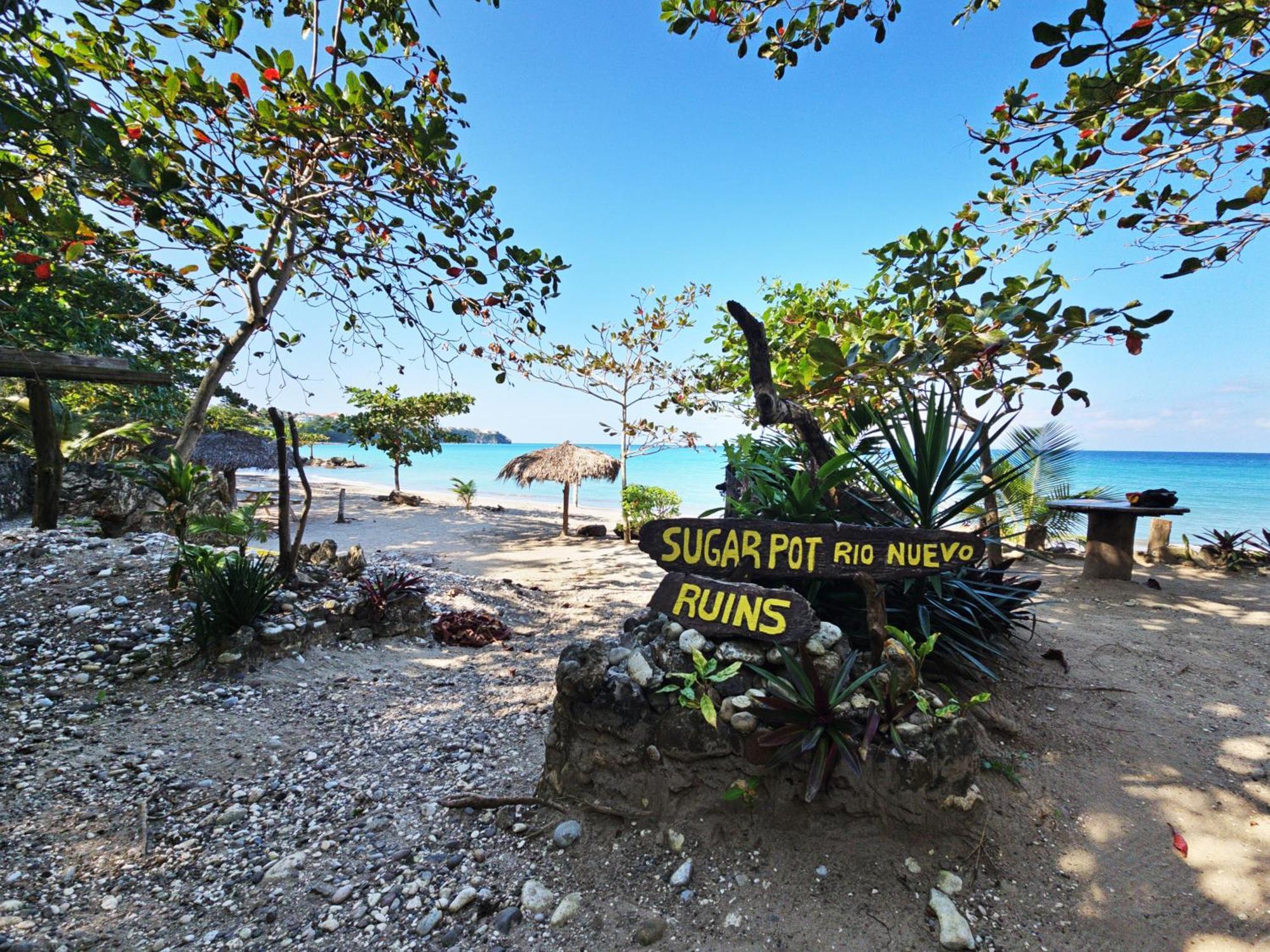 Chrisanns Paradise Suite By The Ocean - Apt#9 Ocho Rios Exterior foto